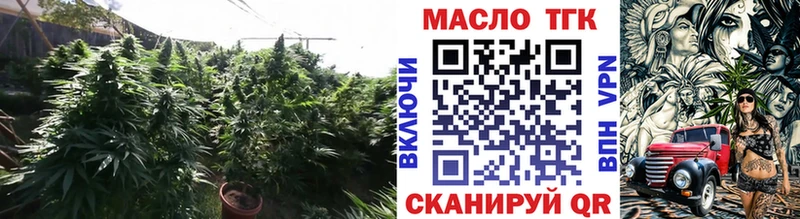 ТГК Wax  площадка как зайти  Белгород 