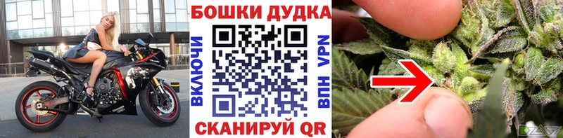Марихуана гибрид Белгород